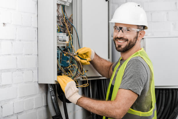 Best Electric Panel Repair  in St Jaco, IL