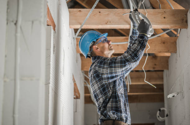 Best Electrical System Inspection  in St Jaco, IL